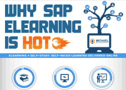 Why SAP eLearning is HOT
