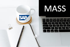 SAP Mass Change/Create of Master and Transaction Data