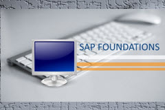 SAP S/4HANA Foundations - Intermediate Skills