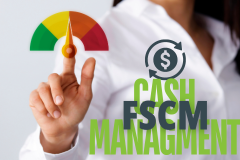 Introduction to SAP Credit Management (FSCM)