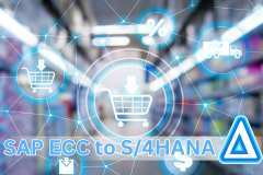 SAP ECC to S/4HANA: Delta Course for Sales & Distribution