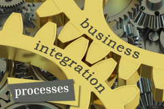 Integrated Business Processes in SAP S/4HANA