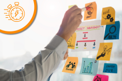 Project Management Process Principles - Quick Wins
