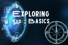 Exploring SAP Basics - Introduction and Navigation
