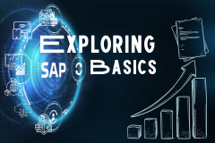 Exploring SAP Basics - Reporting Tools