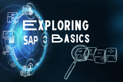 Exploring SAP Basics - Querying