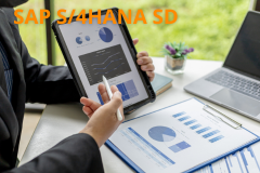 SAP S/4HANA - Outline Agreements