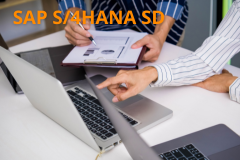 SAP S/4HANA - Delivery, Billing and Analytics...